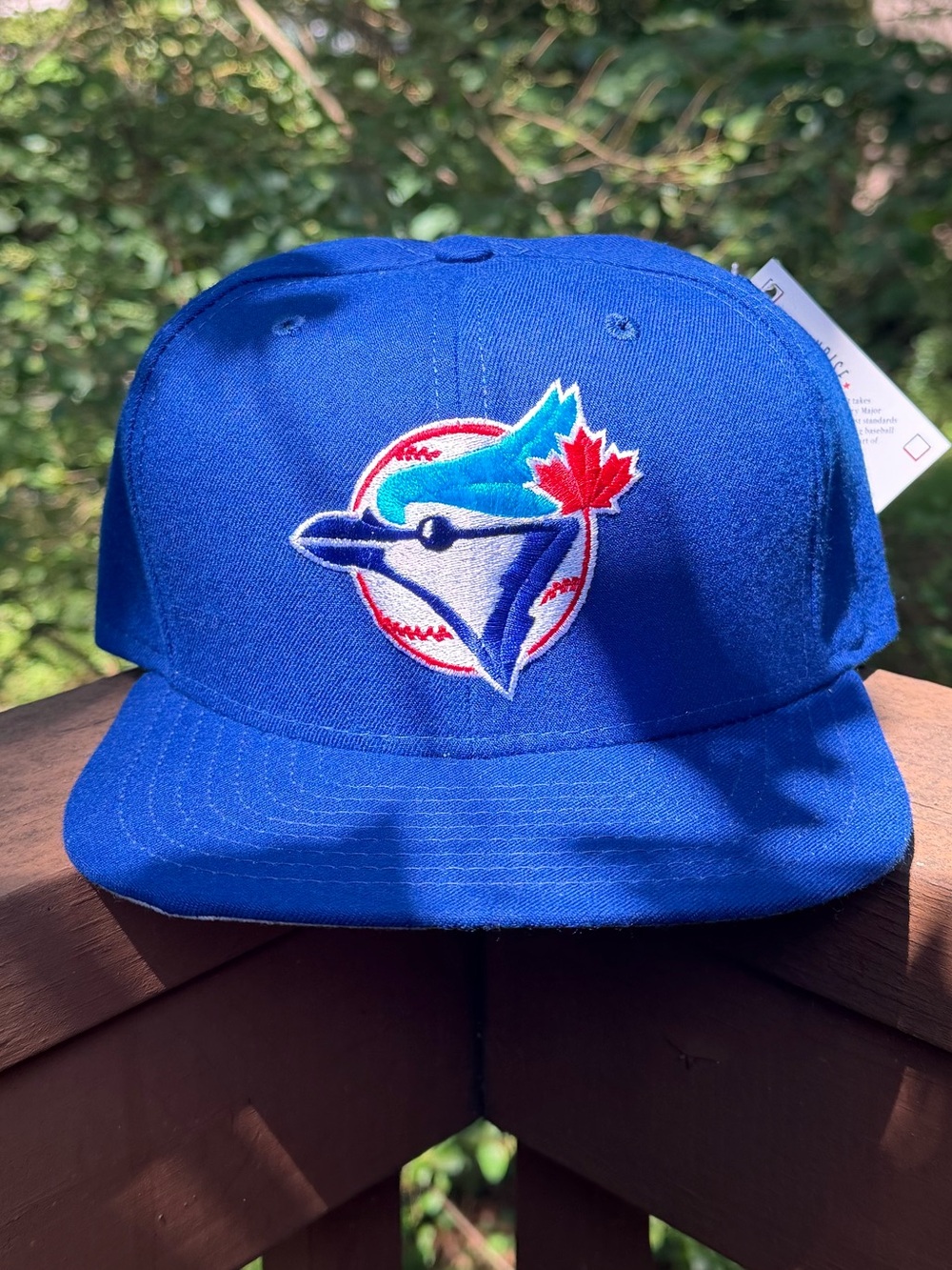 Vintage Toronto Blue Jays New Era Genuine Merchandise Snapback Hat Deadstock